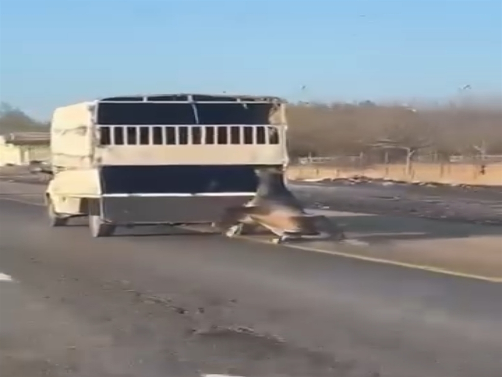 Batmanda Kamyonetin arkasına bağladığı atı dakikalarca sürükledi; o anlar kamerada