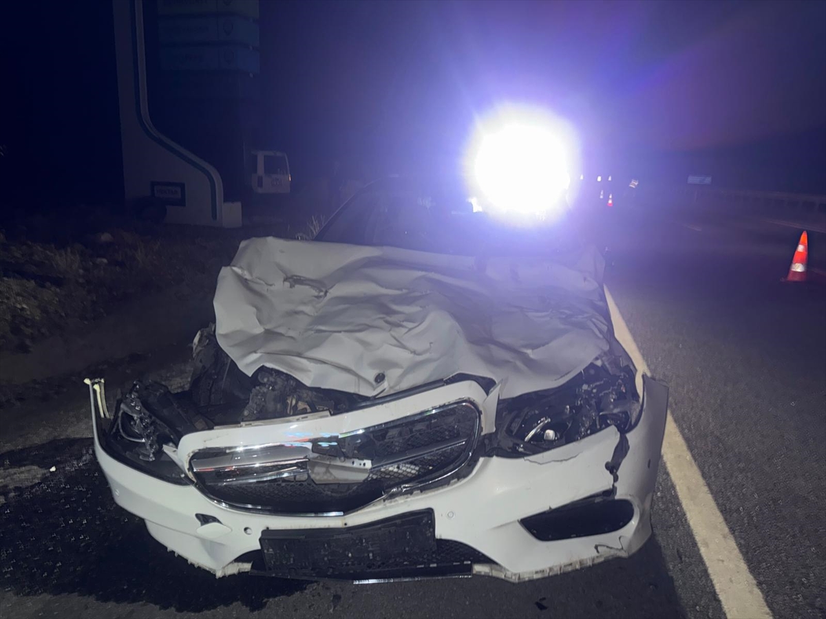 Otomobilin çarptığı 3 inek telef oldu