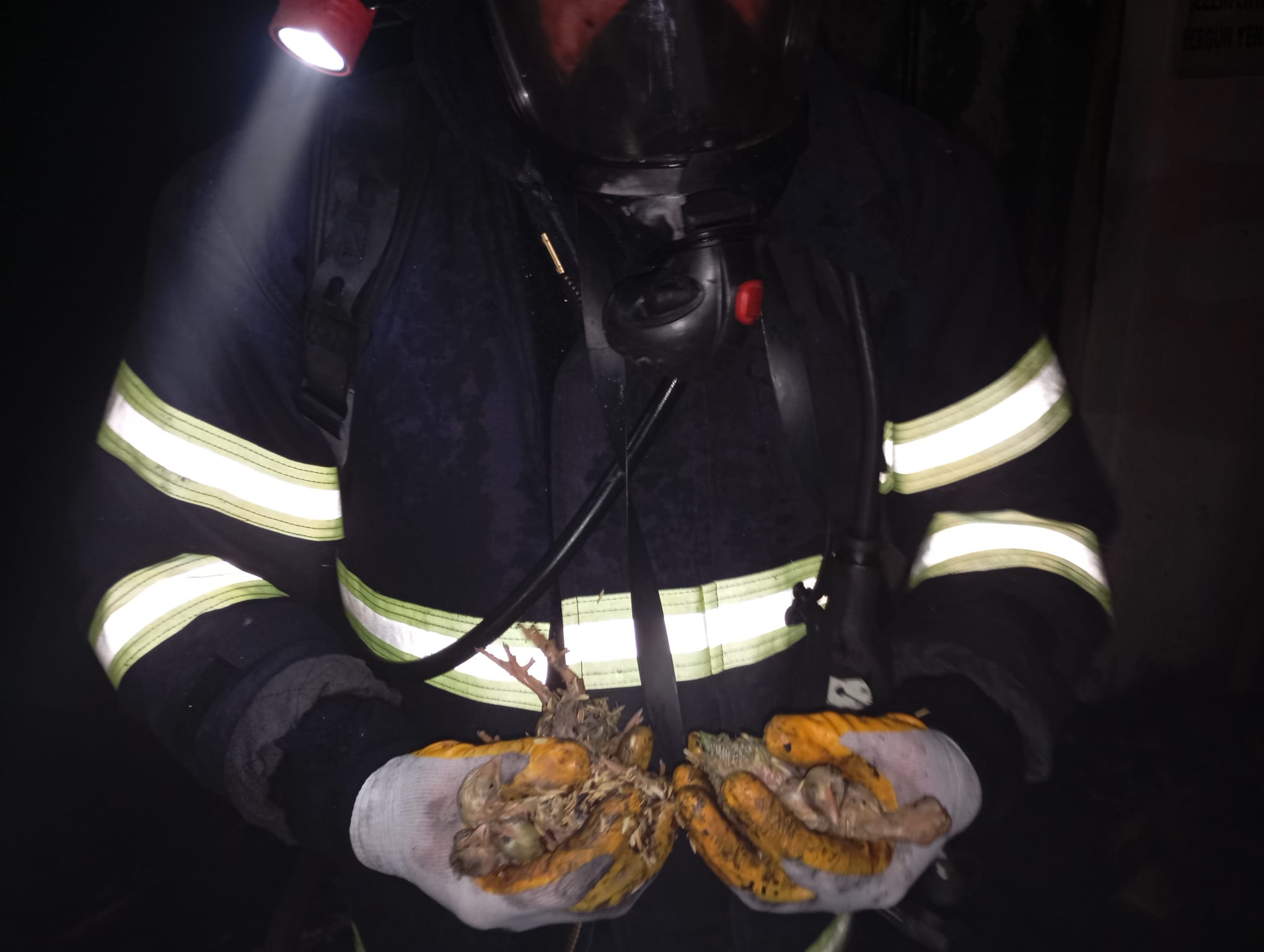 Balıkesir’de tavuk çiftliğinde çıkan yangında 5 bin civciv öldü