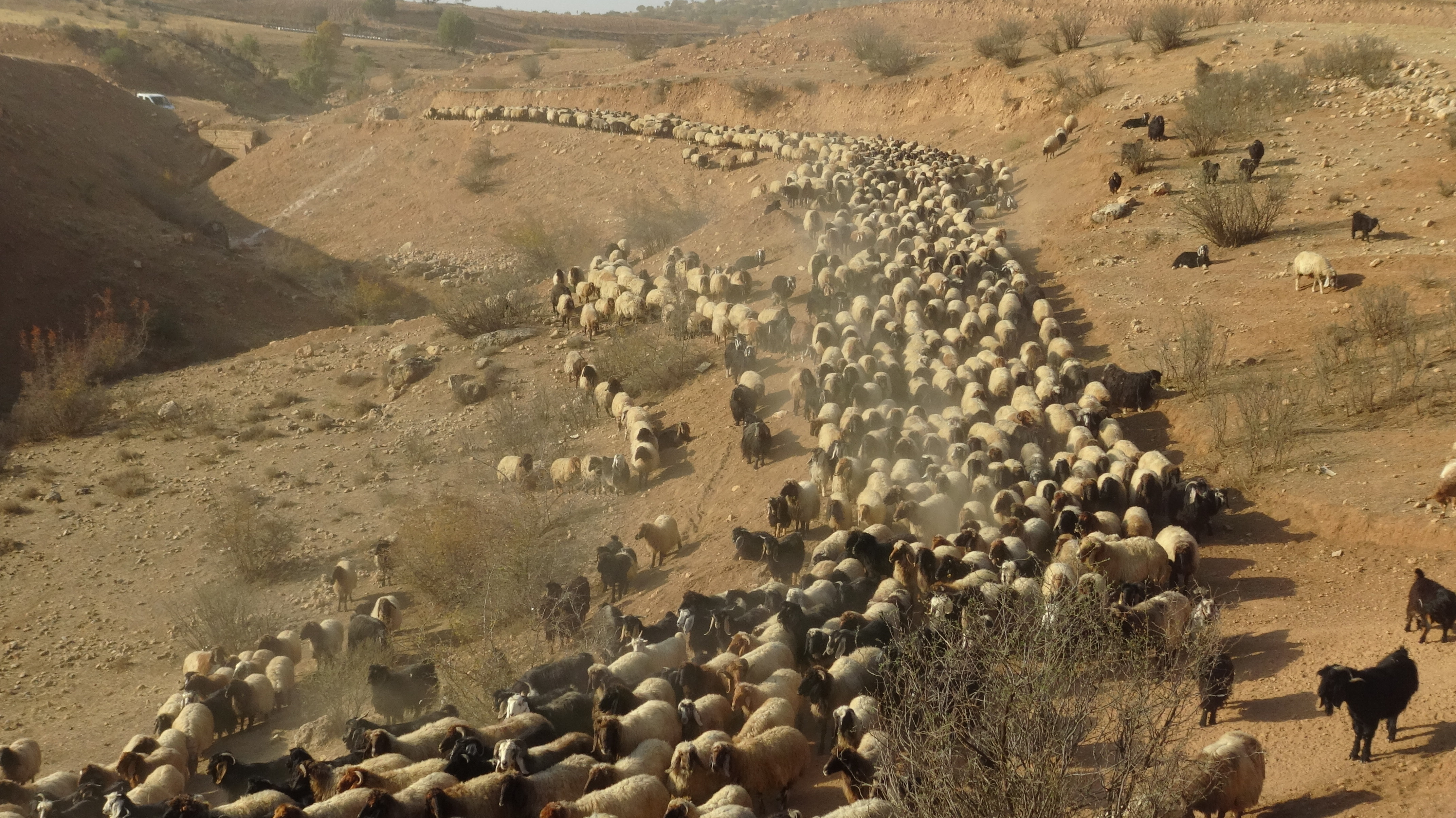Göçerlerin zorlu yolculuğu başladı