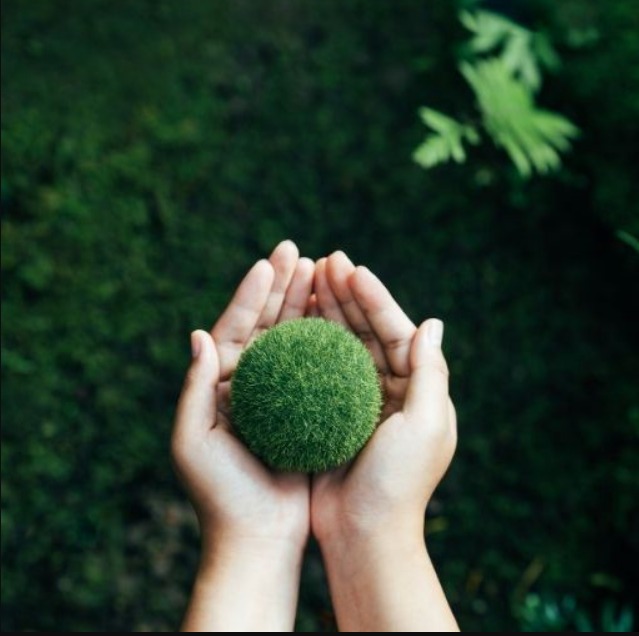 En İyi Çevre Danışmanlık Firmaları Hangileridir?