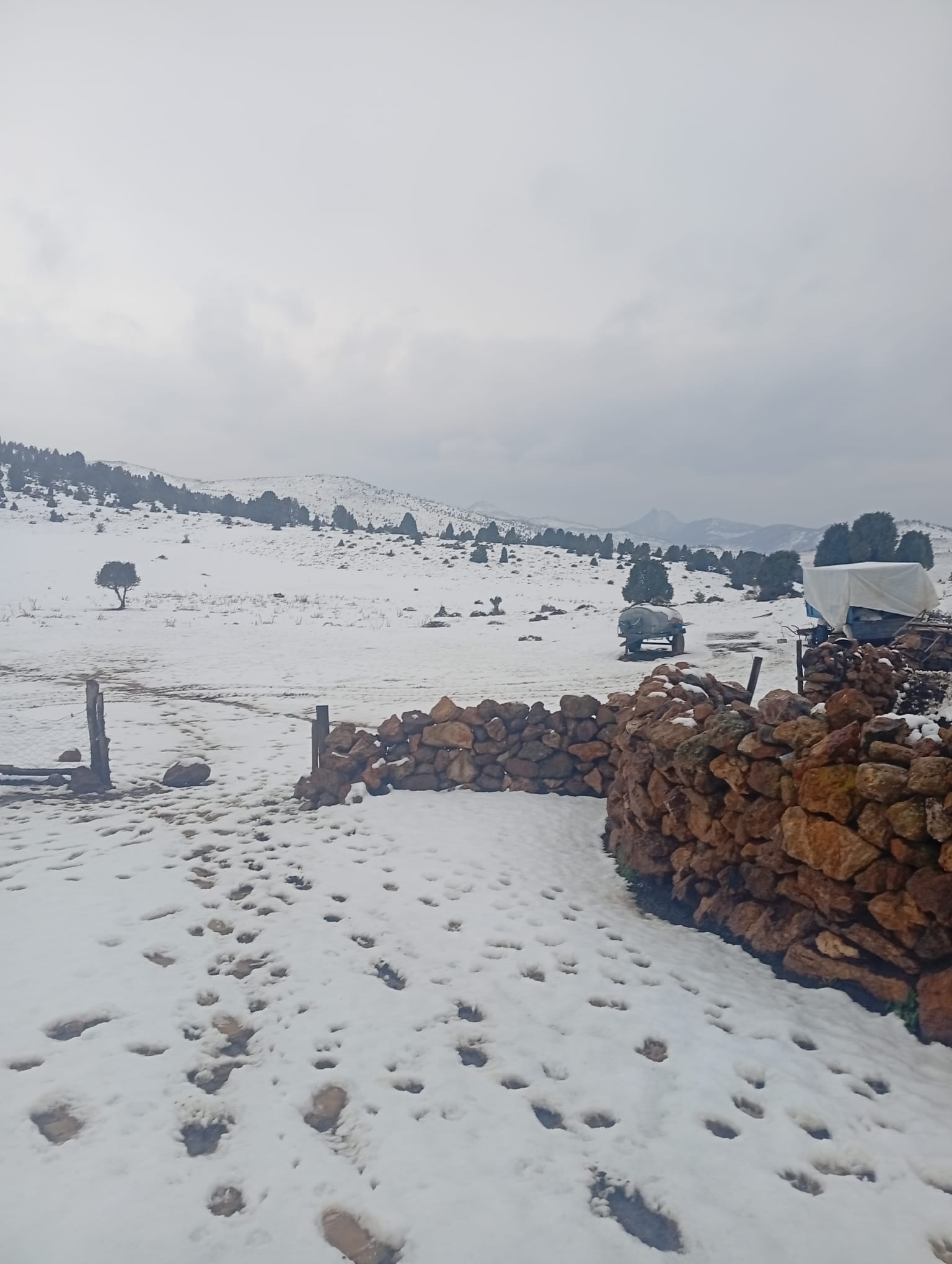 Seydişehir'de Beklenen Kar, Alacabel'de Değil Kozlu'da Yağdı