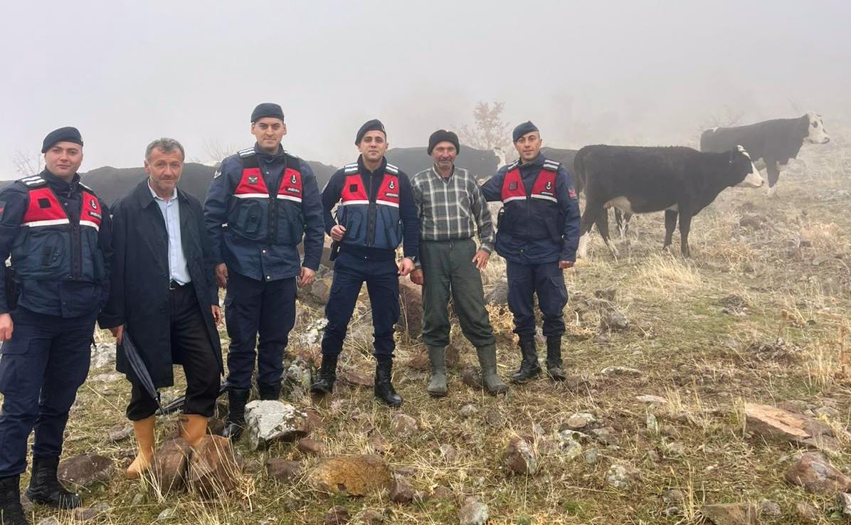 Seydişehir'de Kaybolan 11 Büyükbaş Hayvan Bulundu