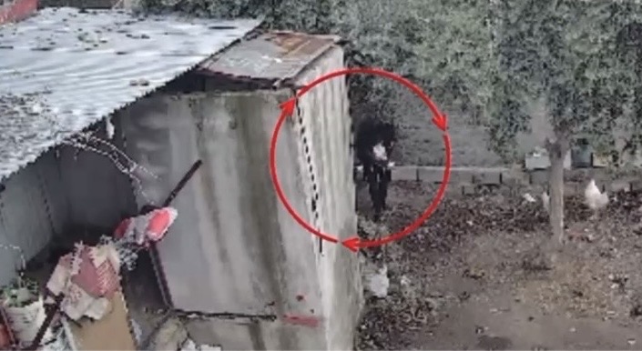 Osmaniye’de kümeslerden tavuk çalan şüpheli tutuklandı