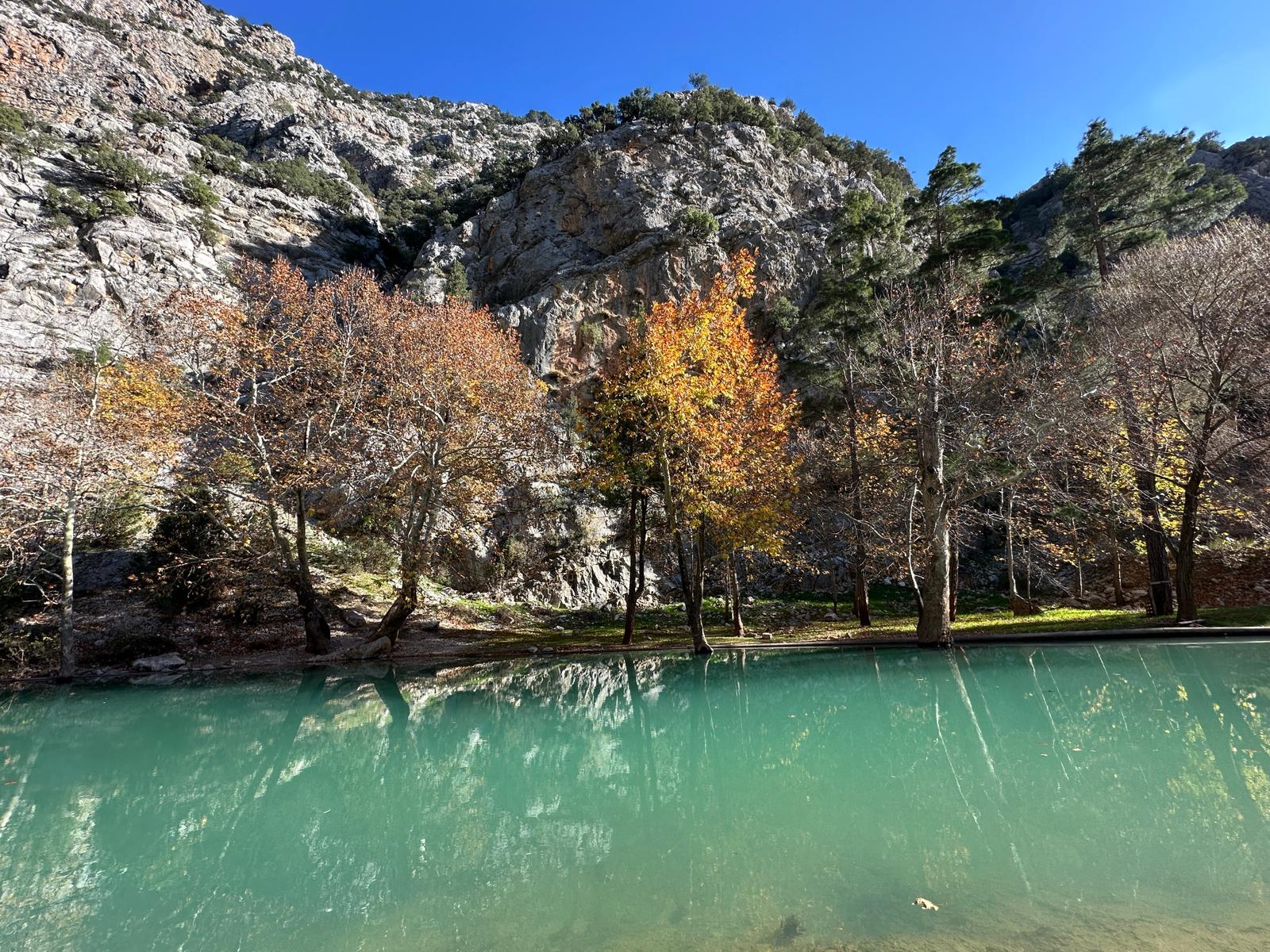  Üzümdere'nin Çölü Yeşerdi: Kuraklıktan Çaresizliğe, Yağmurlardan Umuda
