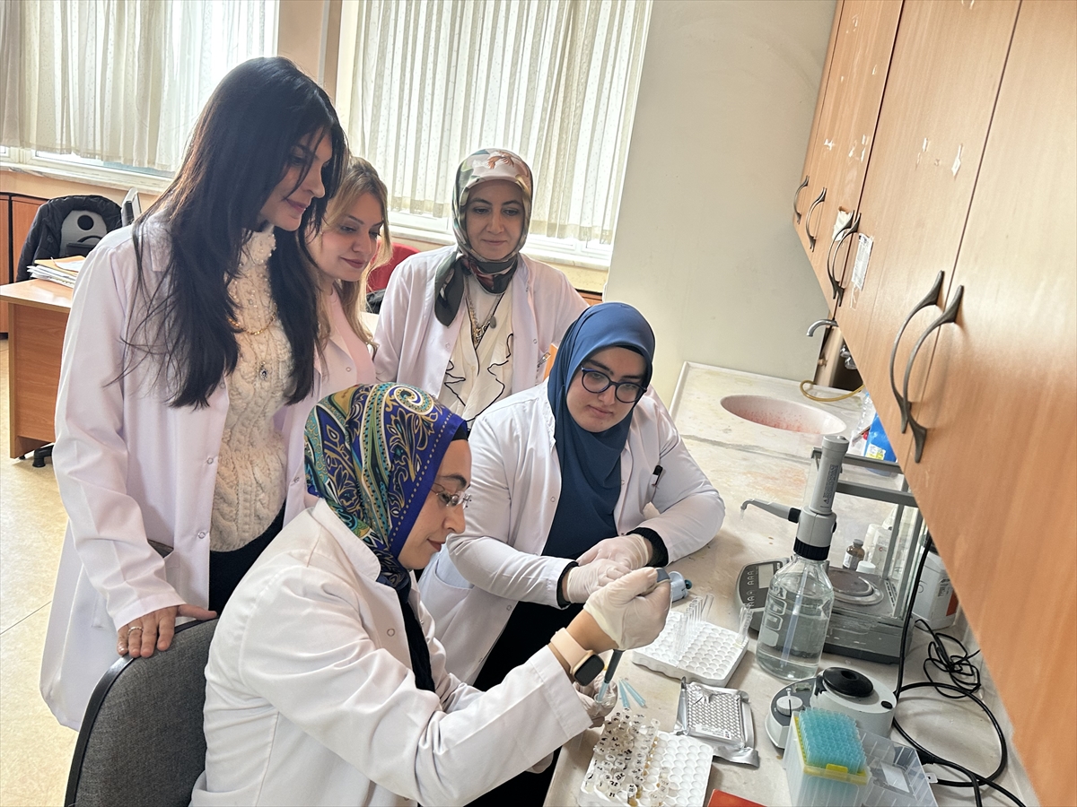 KONYA - Günde 30 gram lif tüketimi bağırsaklardan başlayarak metabolizmayı düzenliyor