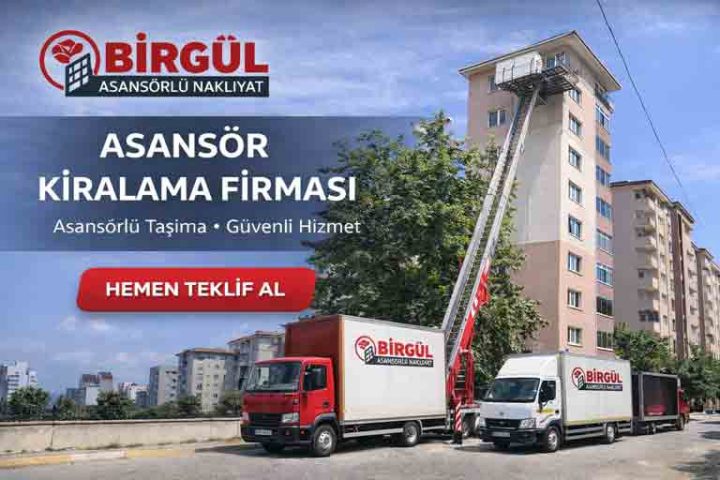 İstanbul kiralık Asansör