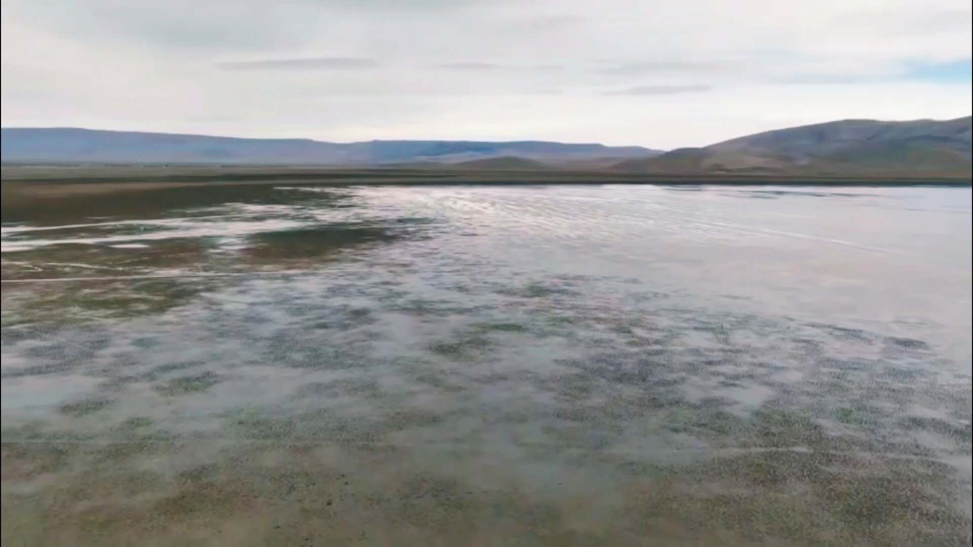  Konya'da Kuruyan Çavuşçu Gölü, yeniden su tutmaya başladı