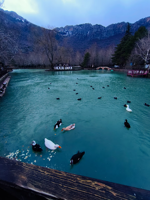 Seydişehir’de Tarihi Yağış: Kuraklık Yerini Bereketli Günlere Bıraktı
