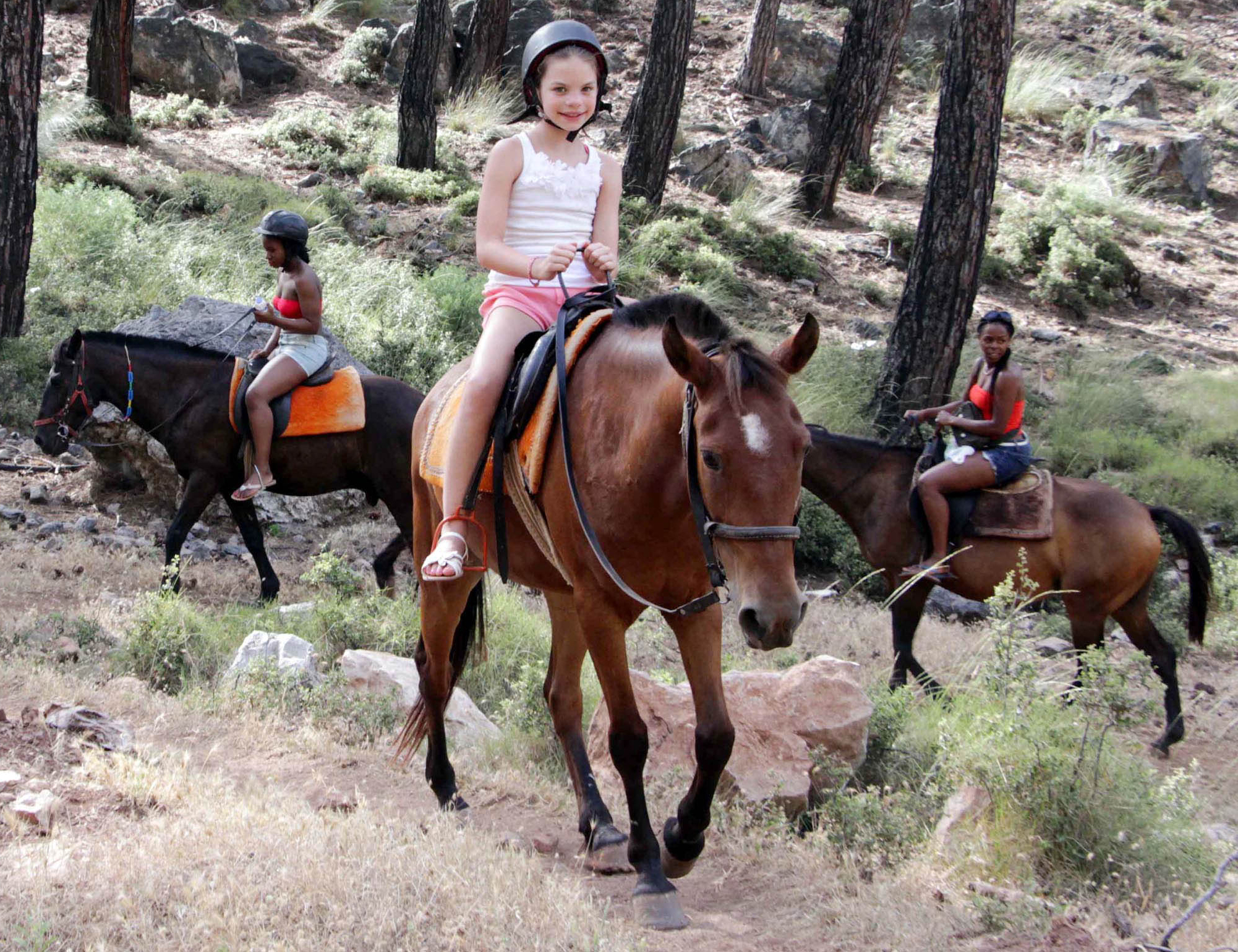 At, eşek, katır azaldı