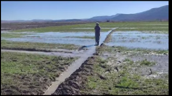 Su Geldi, Fare Gitti: Suğla Havzası'nda Bereket Sevinci