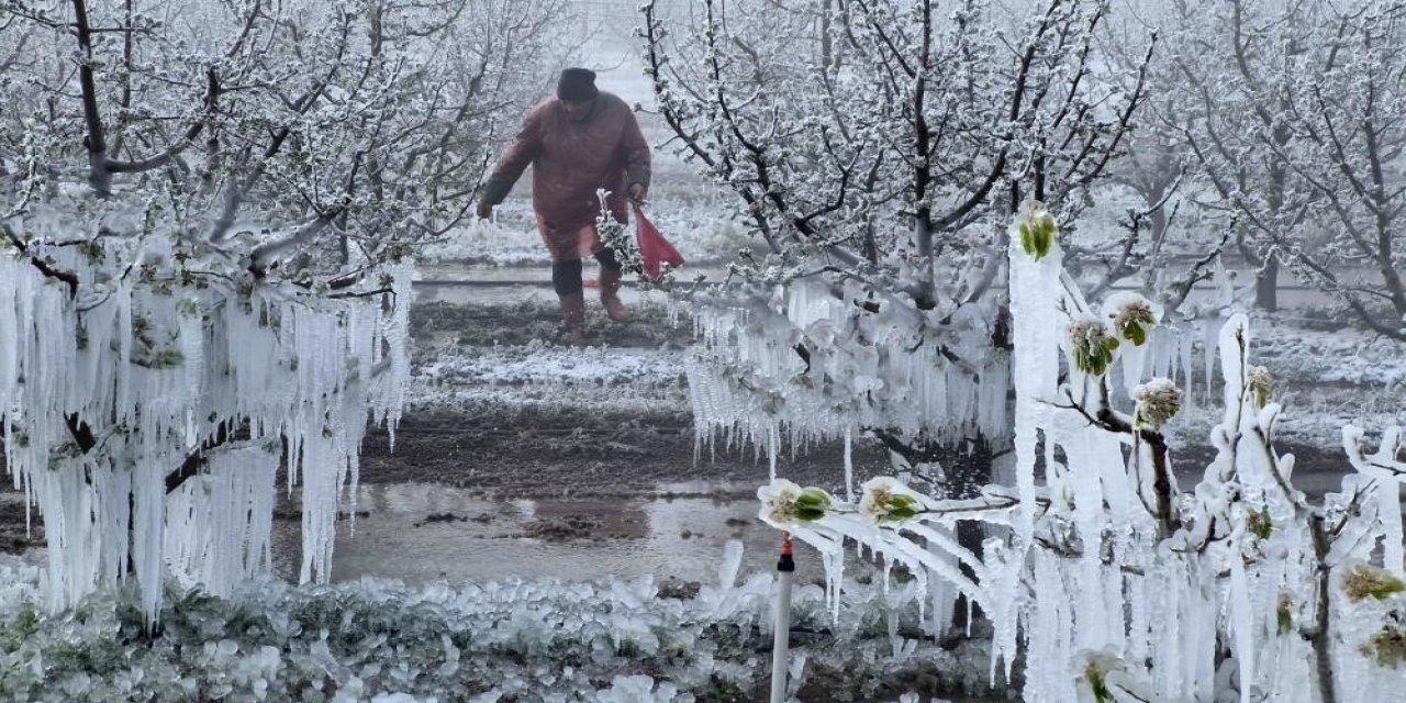 Konya’da sis ve zirai don alarmı verildi