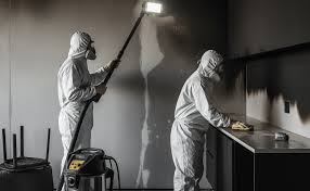 Hasar Sonrası Temizlikte Profesyonel Müdahale