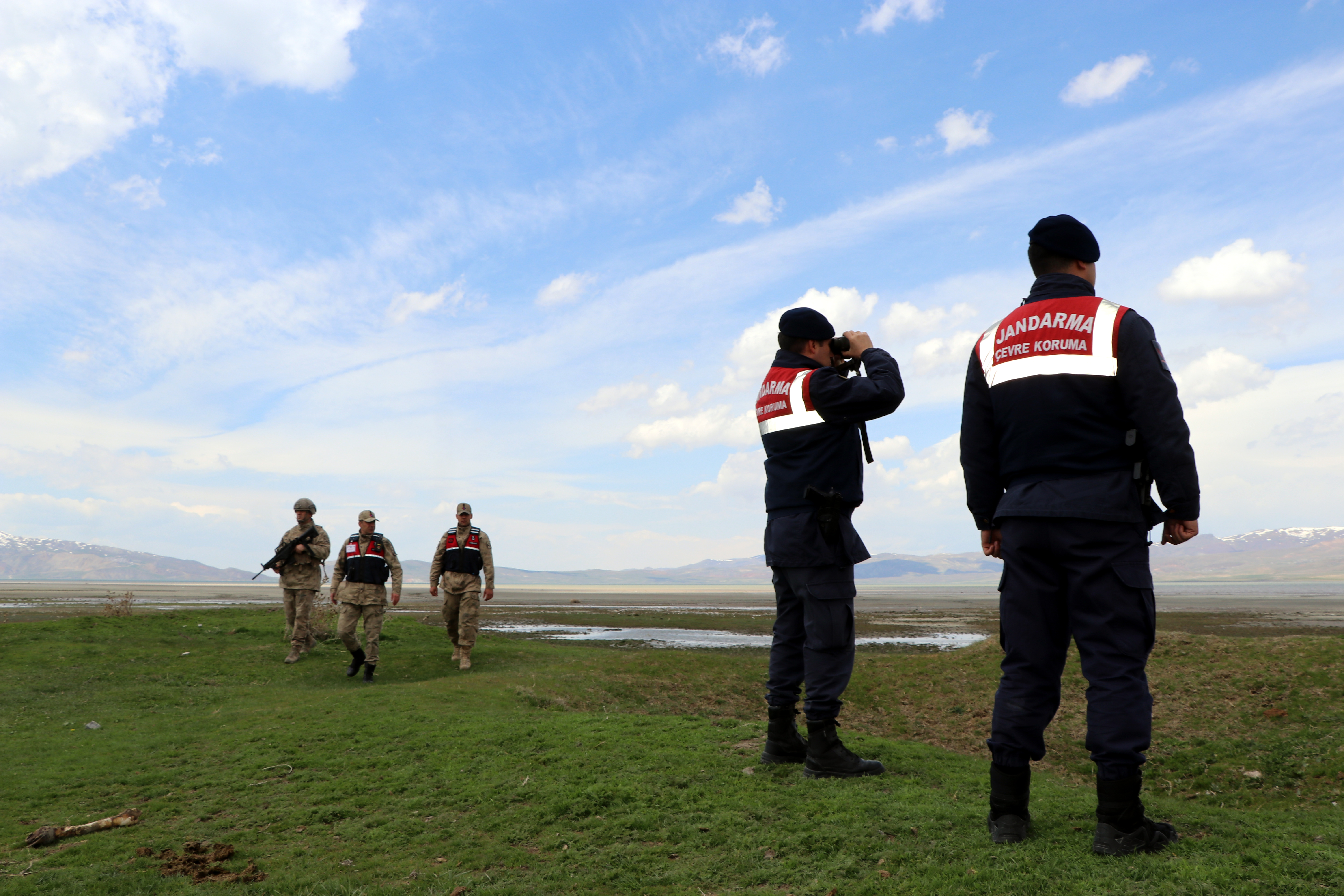 Van'da jandarma, flamingolar için 7/24 denetimde