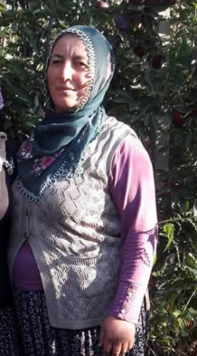 Aksaray - İş yerinde kesilen ağaç, üzerine devrildi; 4 çocuk annesi öldü