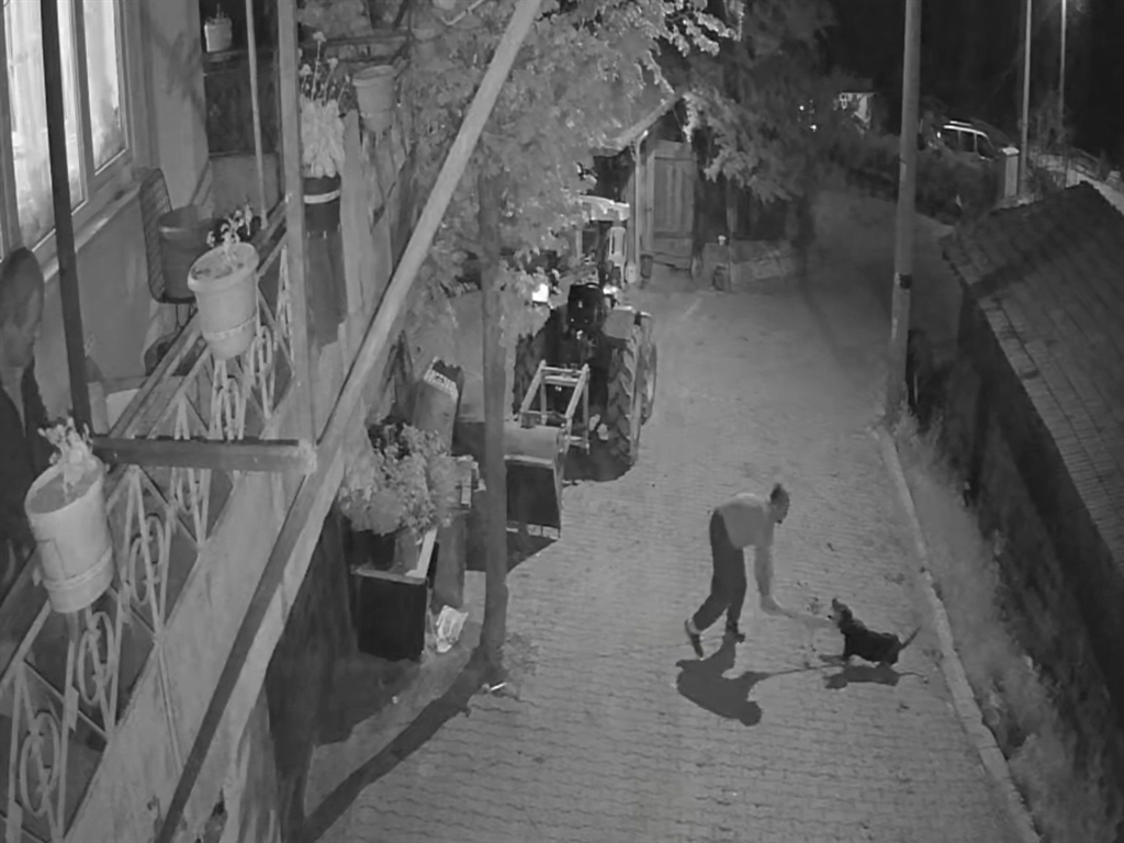 Köpeği demir çubukla öldüren şüpheli tutuklandı