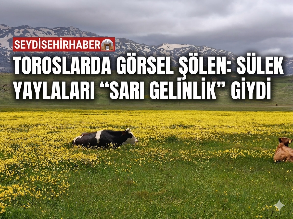 TOROSLARDA GÖRSEL ŞÖLEN: SÜLEK YAYLALARI "SARI GELİNLİK" GİYDİ