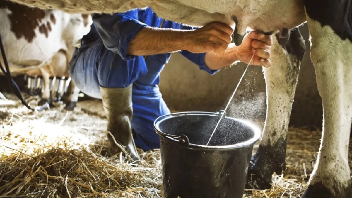 20 yaşındaki genç, inekleri sağmak isterken elektrik akımına kapılarak can verdi