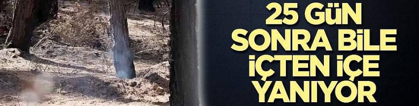25 gün sonra bile içten içe yanıyor