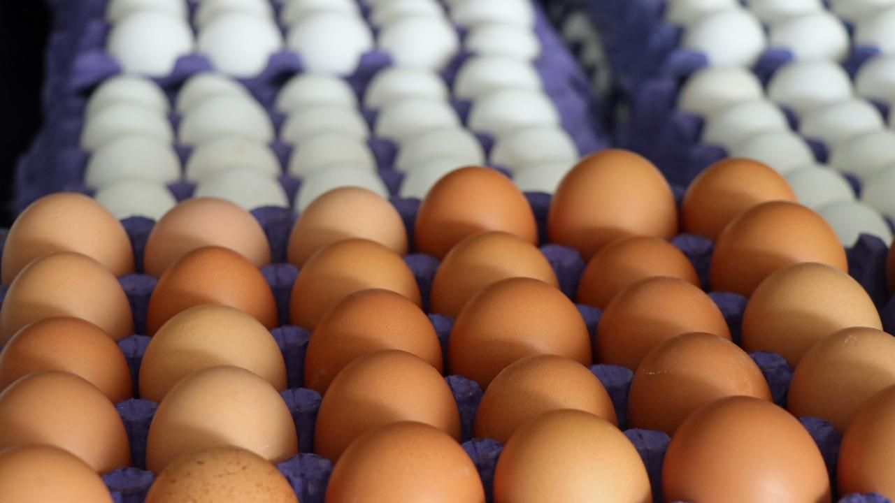 30 yumurtanın fiyatı 100 TL'ye dayandı.