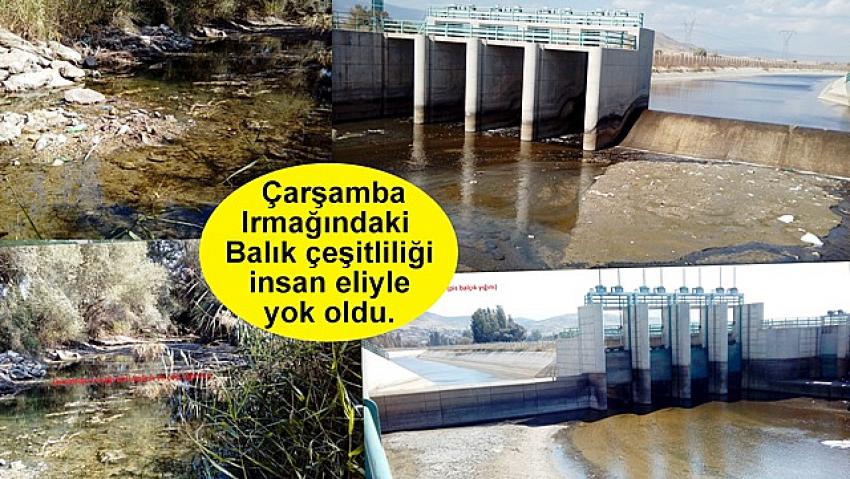 90lı yıllar Çarşamba Irmağı (Irmaklı Köyü köprüsü artık bu manzarayı göremezsiniz, insan eliyle yok oldu)