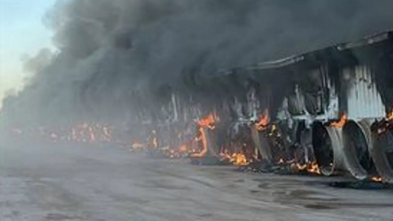 ABD de 18 bin inek yanarak telef oldu