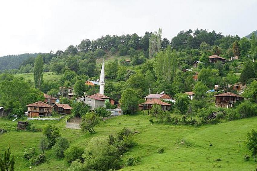 AFAD Görevlisiyiz deyip camiden anons yaptırdılar, Define Aradılar