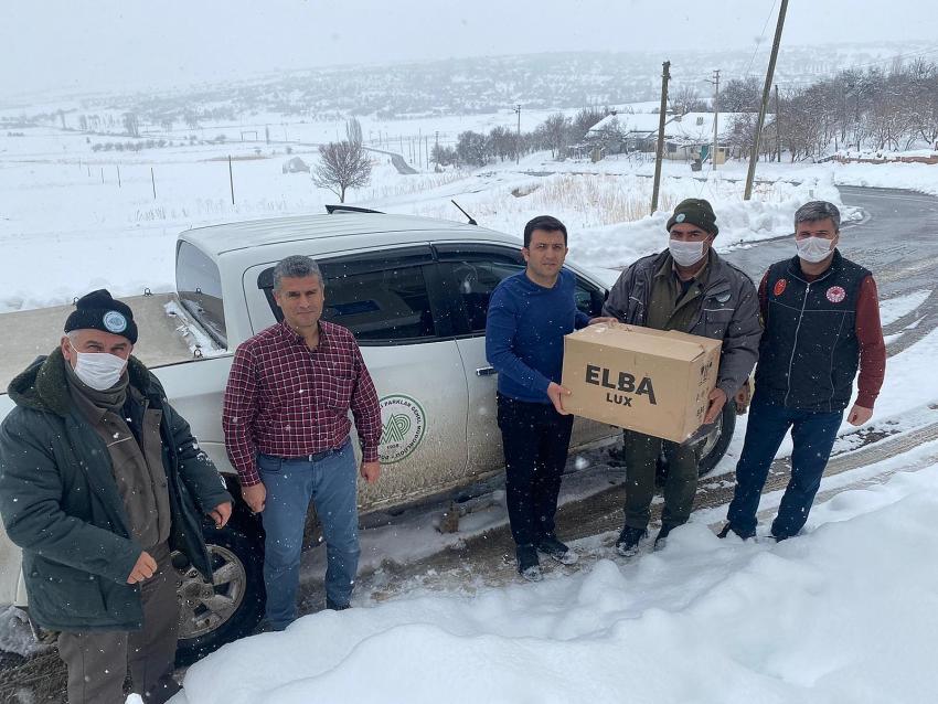  Ahırlda Yaralı  bulunan saz delicesi tedavi  edildi