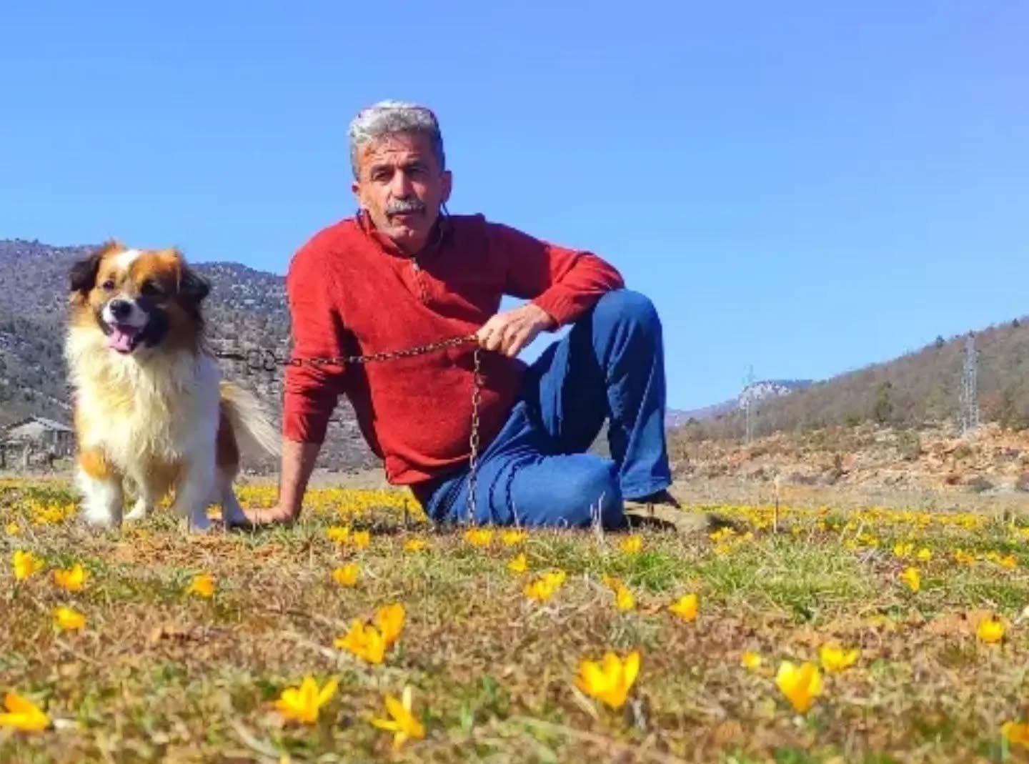 Ahırlı Bartlı  yaylasında yalancı bahar uyanışı