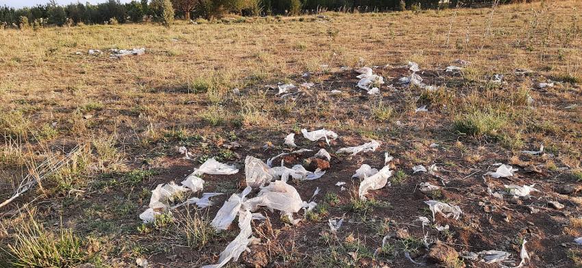 AHIRLIDA  VATANDAŞ ÇEVREYE   BIRAKILAN POŞETLERDEN  ŞİKAYETÇİ