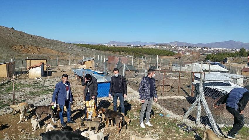 AK GENÇLİK SOKAK HAYVANLARI BARINAĞINI ZİYARET ETTİ