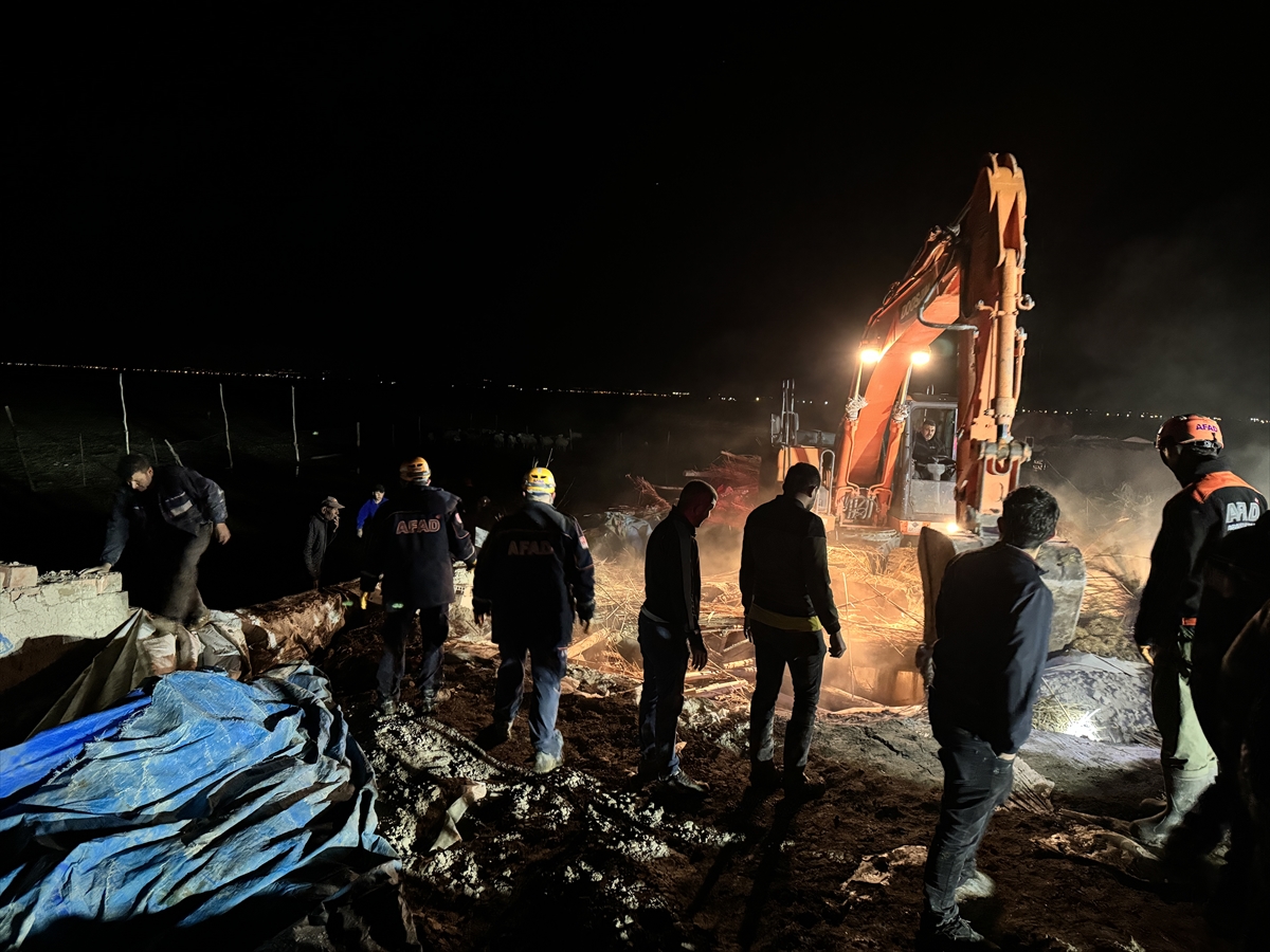 Aksaray'da ağılın çökmesi sonucu 50 küçükbaş telef oldu