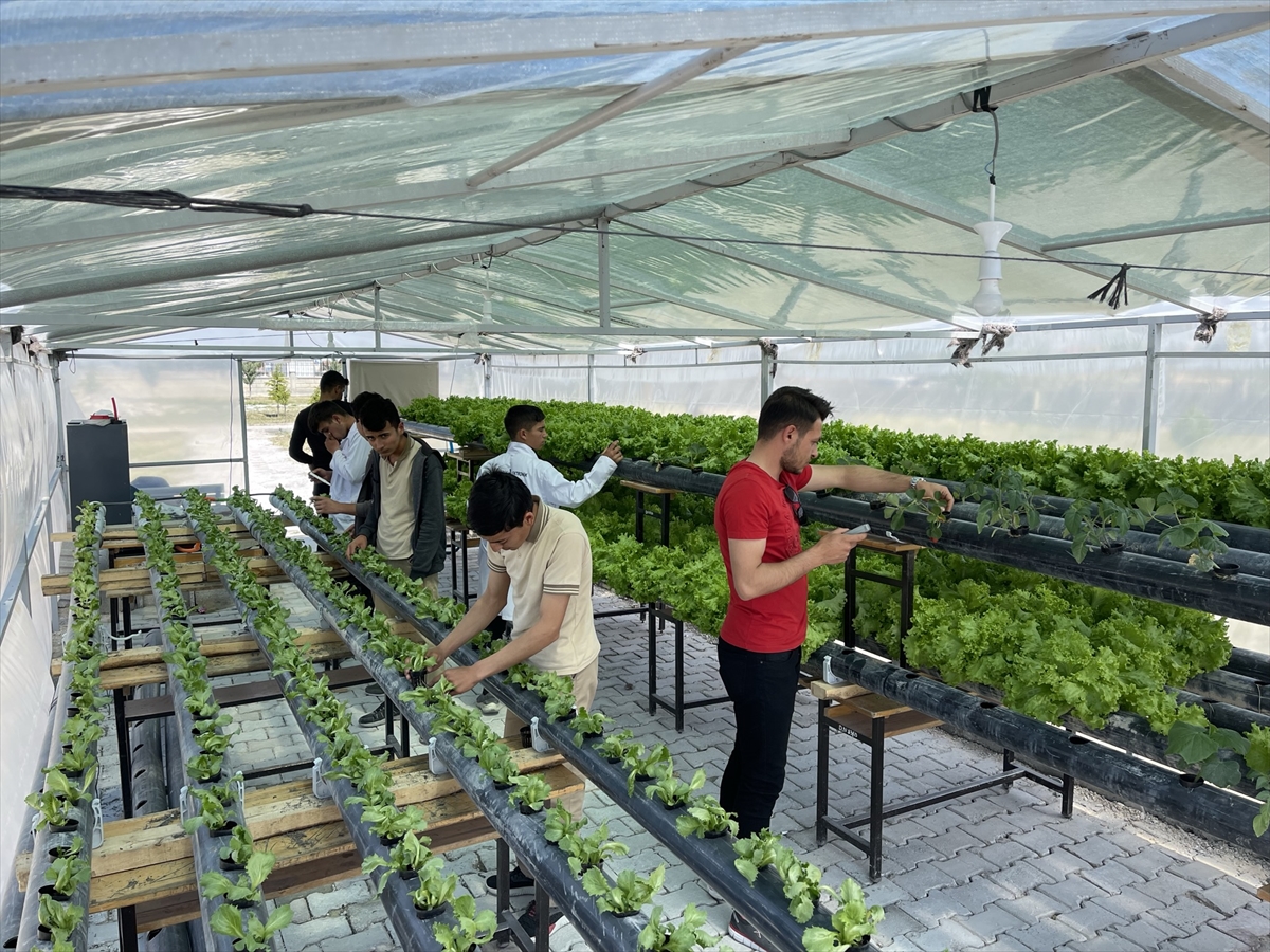 Aksaray'da meslek lisesi öğrencileri topraksız serada sebze meyve yetiştiriyor