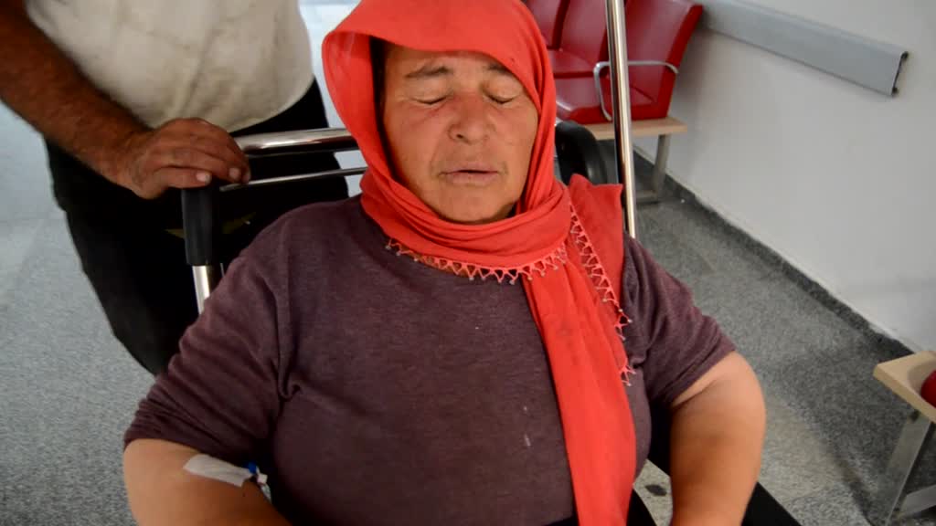 AKSARAY - Köpeklerin saldırısına uğrayan kadını hastaneye götüren otomobil kaza yaptı