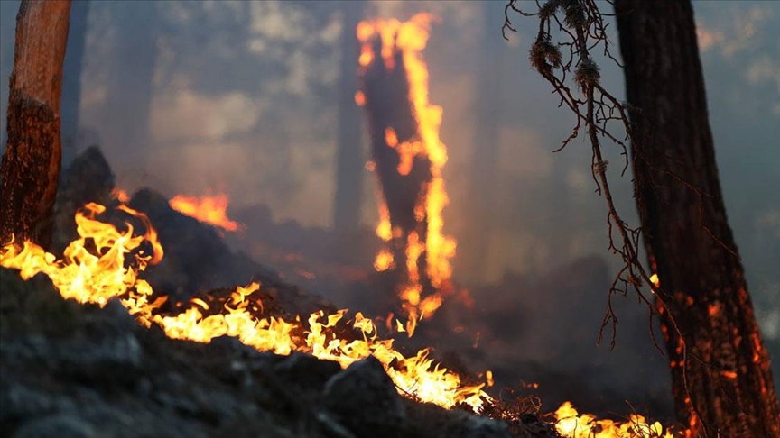 Akseki ilçesindeki orman yangınına havadan ve karadan müdahale sürüyor
