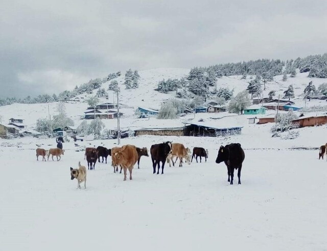 Anadolu'da mayıs ortasında kıştan kalma görüntüler