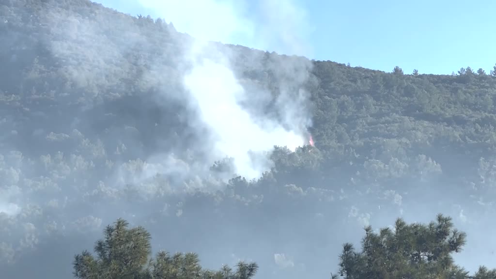 ANTALYA - Alanya'da çıkan yangında 10 dönüm ormanlık alan zarar gördü