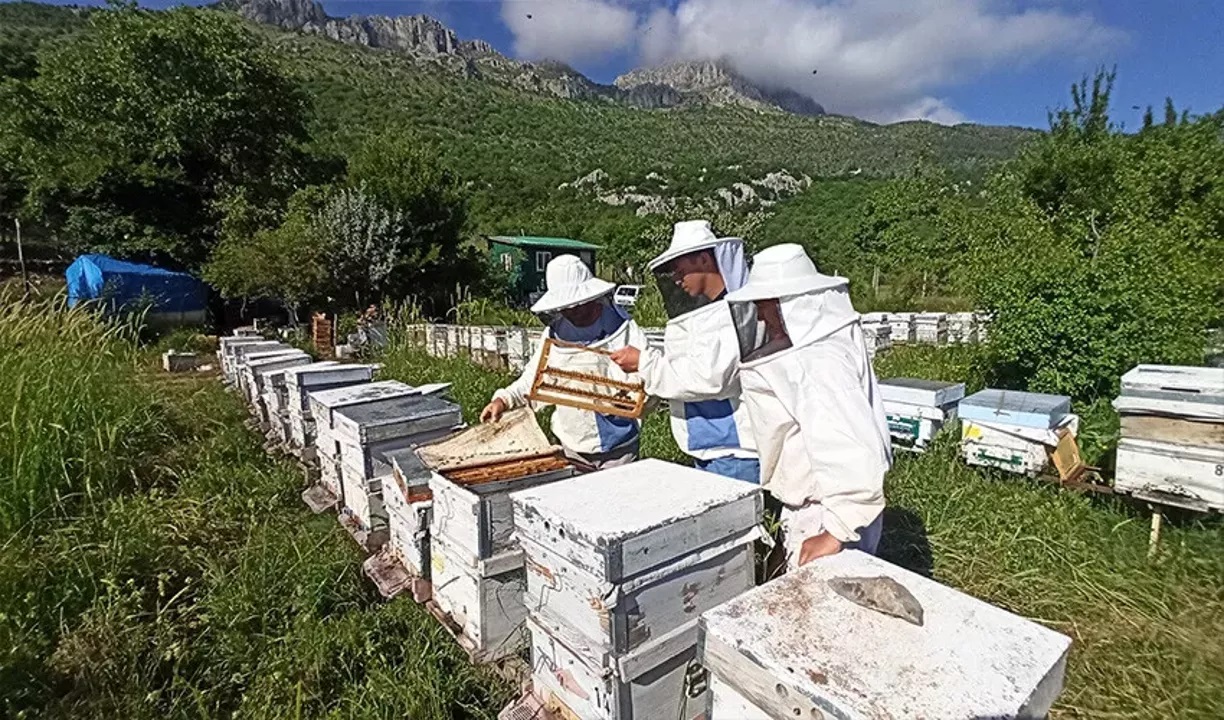Arıcılıkta Yeni Dönem: Yönetmelik Resmî Gazete’de!
