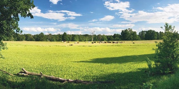 Arsa almadan önce bunları mutlaka yapın