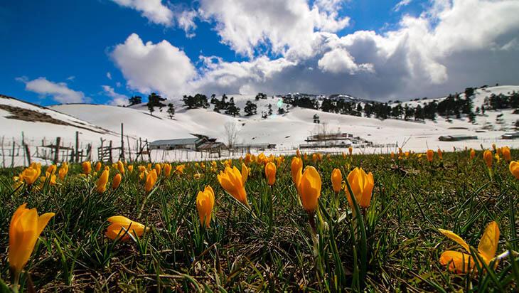 Baharın Müjdecisi Cemre ne zaman düşecek?