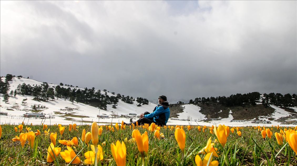 Baharın müjdeleyicisi ilk cemre havaya düştü