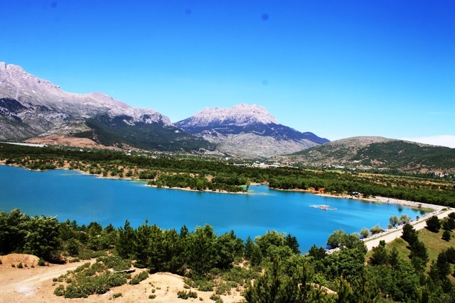 Bakan Kirişci: Belirli tarihlerde ormanlara girişleri yasaklayacağız
