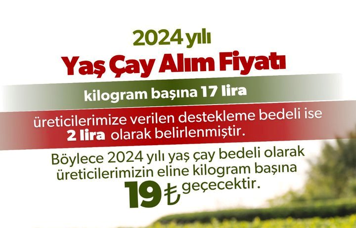 Bakanlık yaş çay alım fiyatlarını açıkladı