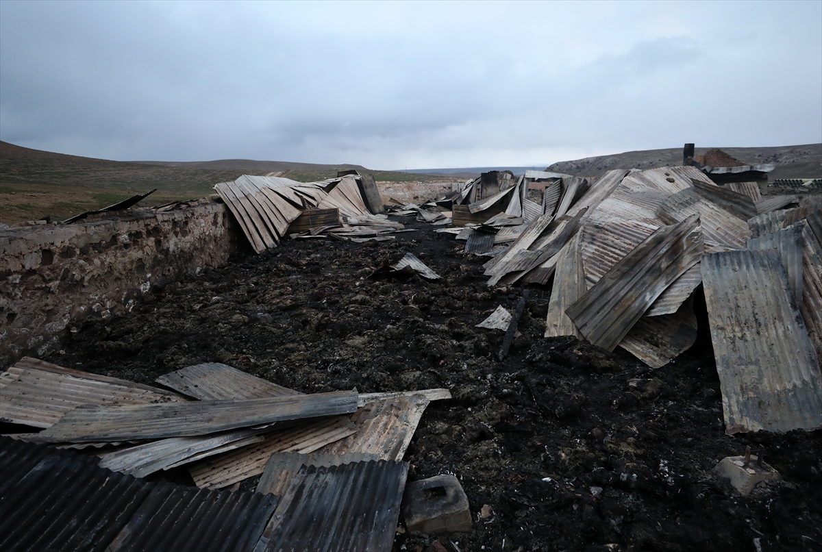 Bala'da ağılda çıkan yangında yaklaşık 500 küçükbaş hayvan telef oldu