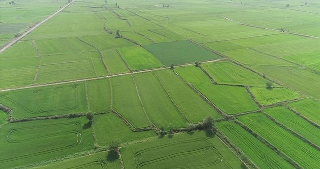 Başkan Erdoğan talimatı verdi: Çiftçiden gelir garantili alım!