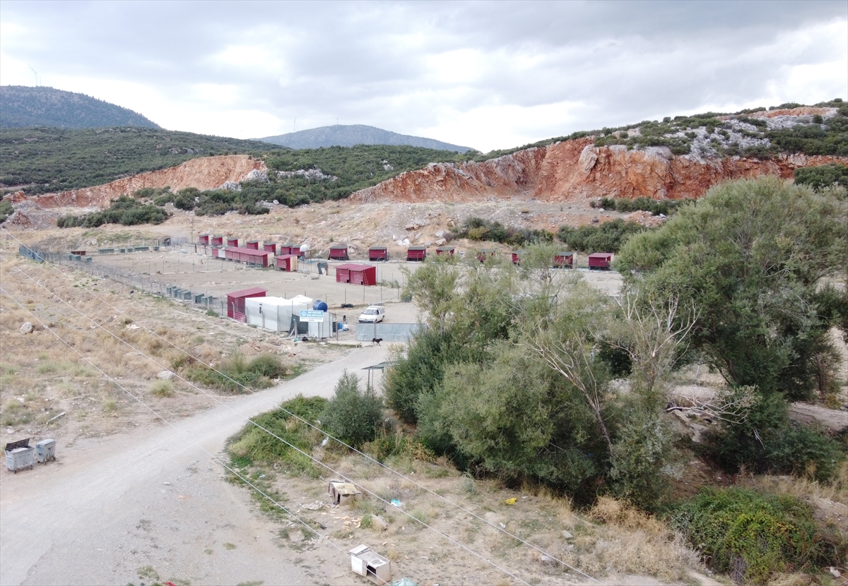 Beyşehir Belediyesinden, "hayvan barınağında köpeklere kötü muamele edildiği" iddialarına ilişkin açıklama