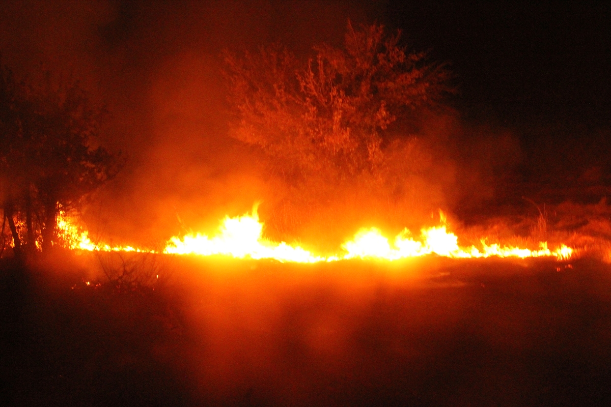 Beyşehir'de anız yangını
