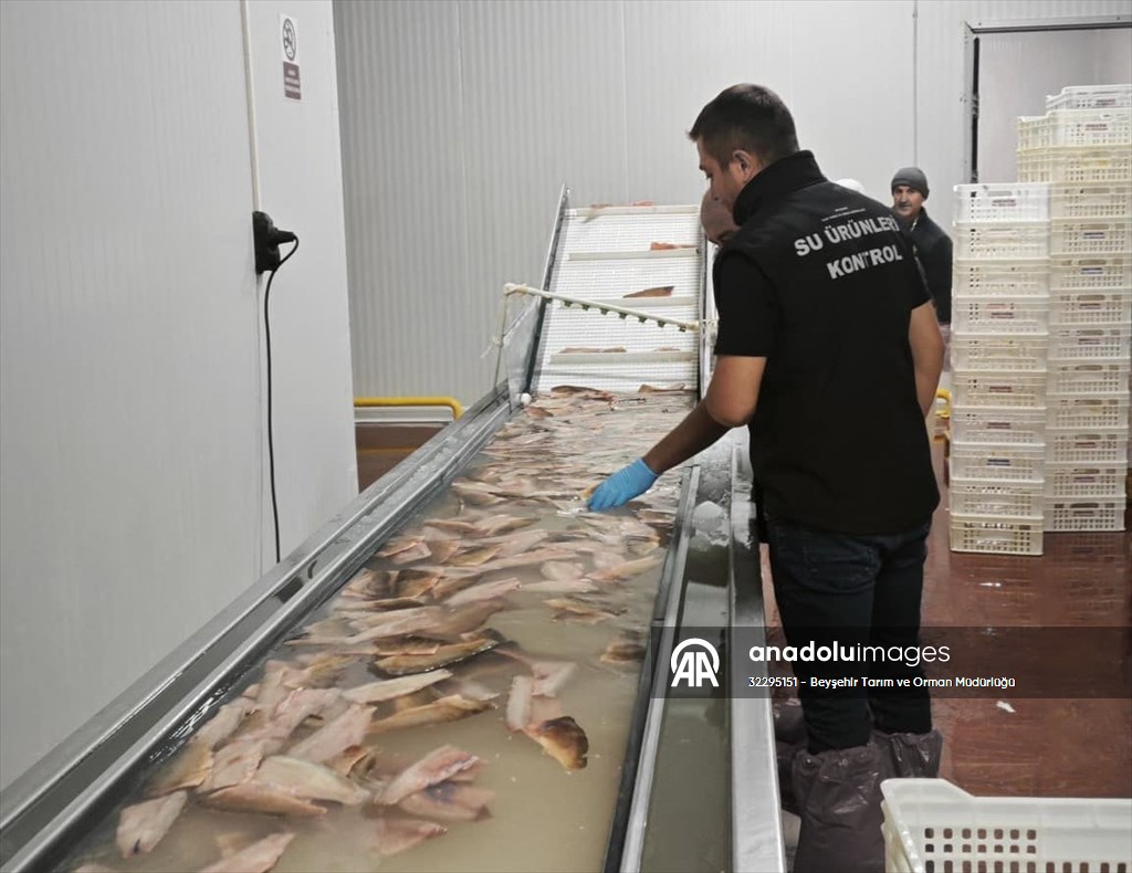 Beyşehir'de balık işleme tesisleri ve balıkçı tekneleri denetlendi