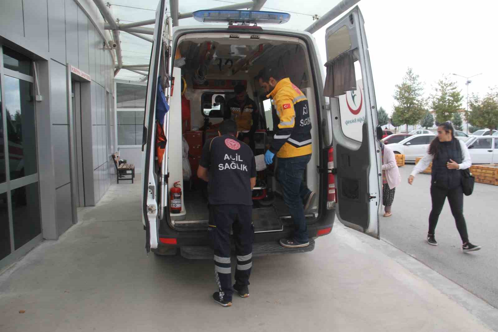 Beyşehir'de ceviz ağacından düşen 3 kişi yaralandı