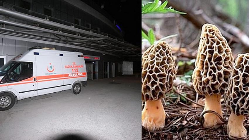 Beyşehir'de Çiğ  olarak yediği  Göbek mantardan zehirlenen kişi hastaneye kaldırıldı